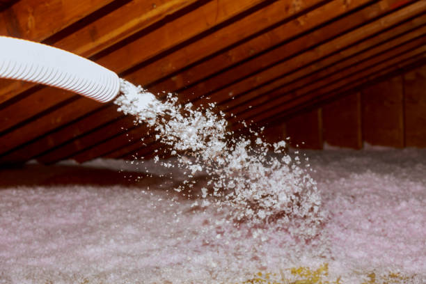 Best Spray Foam Insulation in Rainbow Springs, FL