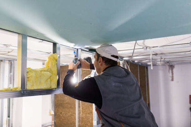 Best Fiberglass Insulation in Rainbow Springs, FL