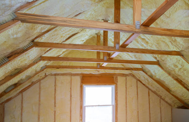 Professional Insulation Contractor in Rainbow Springs, FL