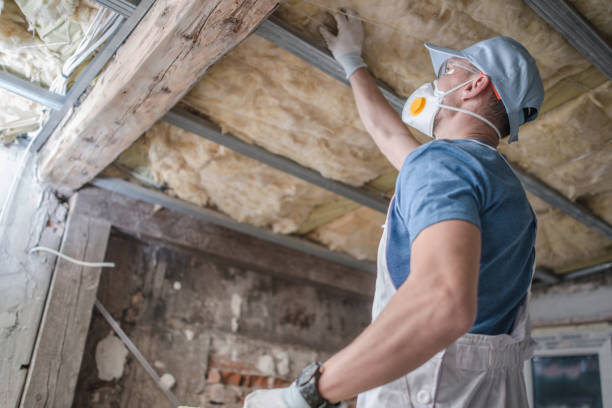 Types of Insulation We Offer in Rainbow Springs, FL